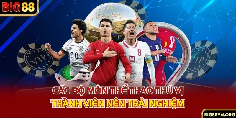 Các bộ môn thể thao thú vị thành viên nên trải nghiệm