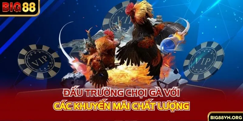 Đấu trường chọi gà với các khuyến mãi chất lượng
