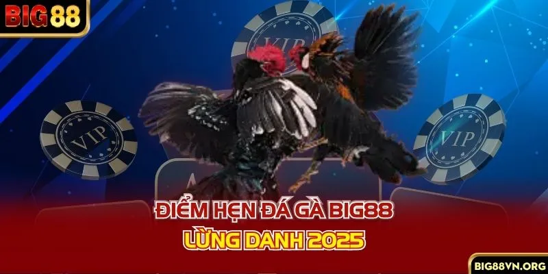 Điểm hẹn đá gà BIG88 lừng danh 2025