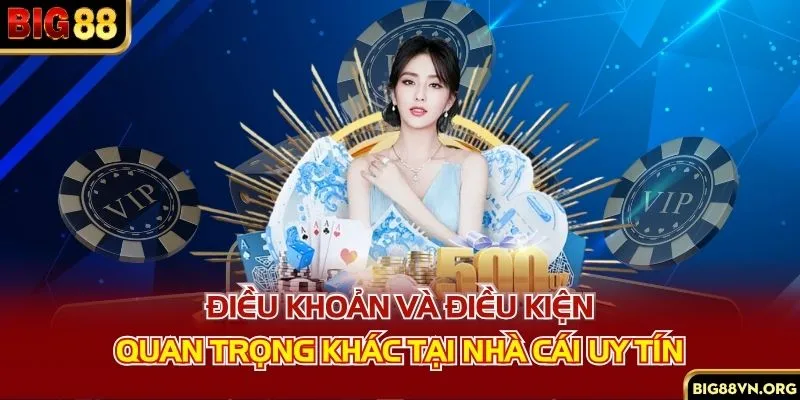 Điều khoản và điều kiện quan trọng khác tại nhà cái uy tín