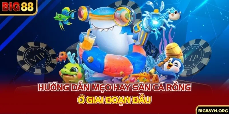 Hướng dẫn mẹo hay săn cá rồng ở giai đoạn đầu