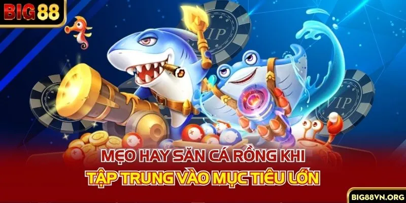 Mẹo hay săn cá rồng khi tập trung vào mục tiêu lớn