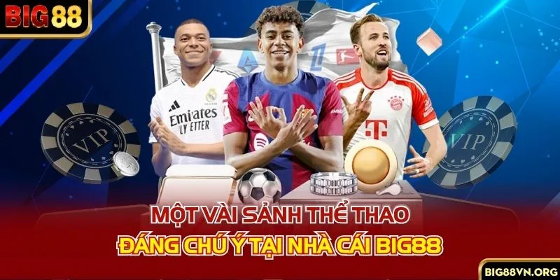 Một vài sảnh thể thao đáng chú ý tại nhà cái BIG88